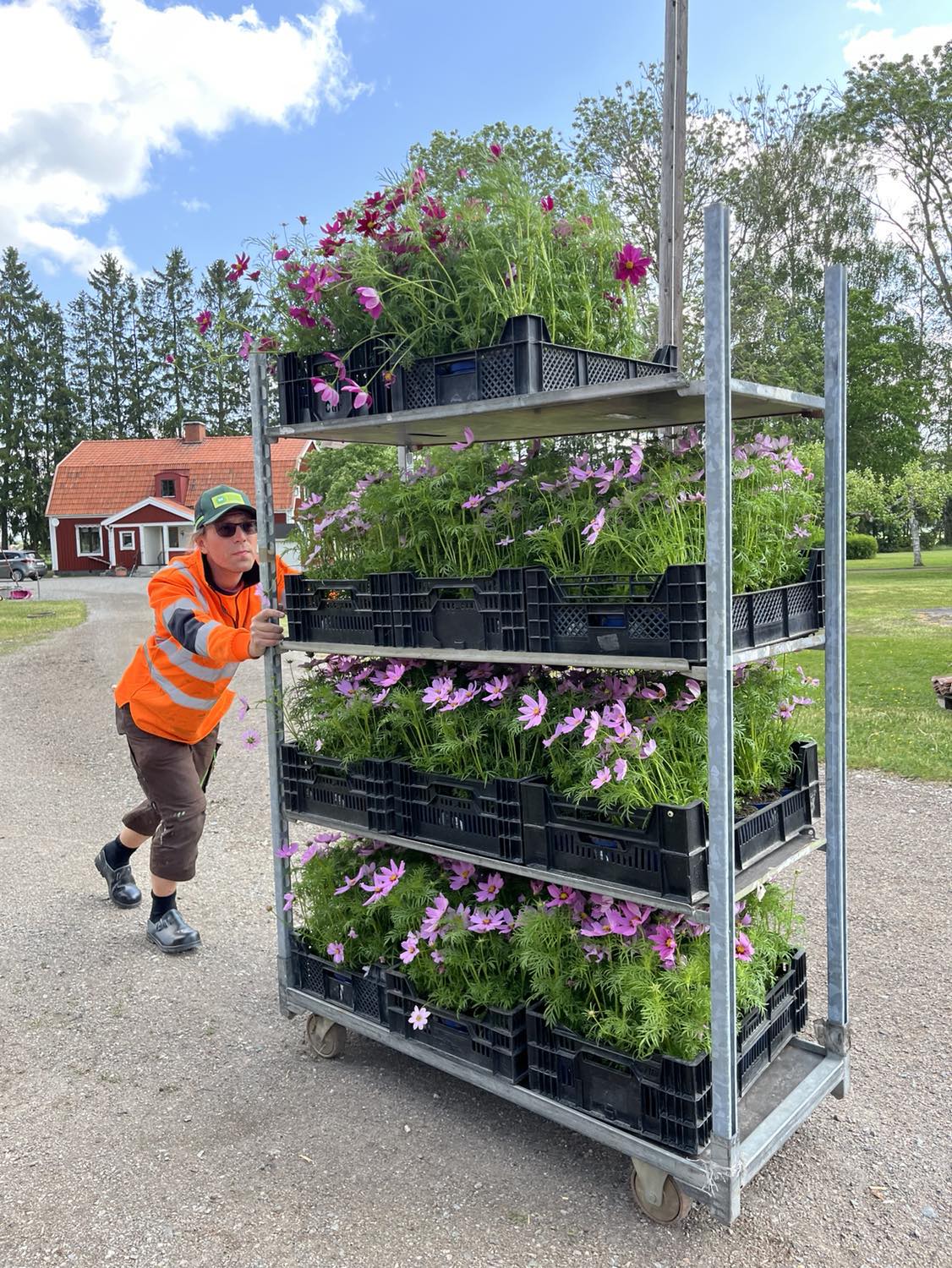 Edvin Eliasson Trädgårdssmästare
